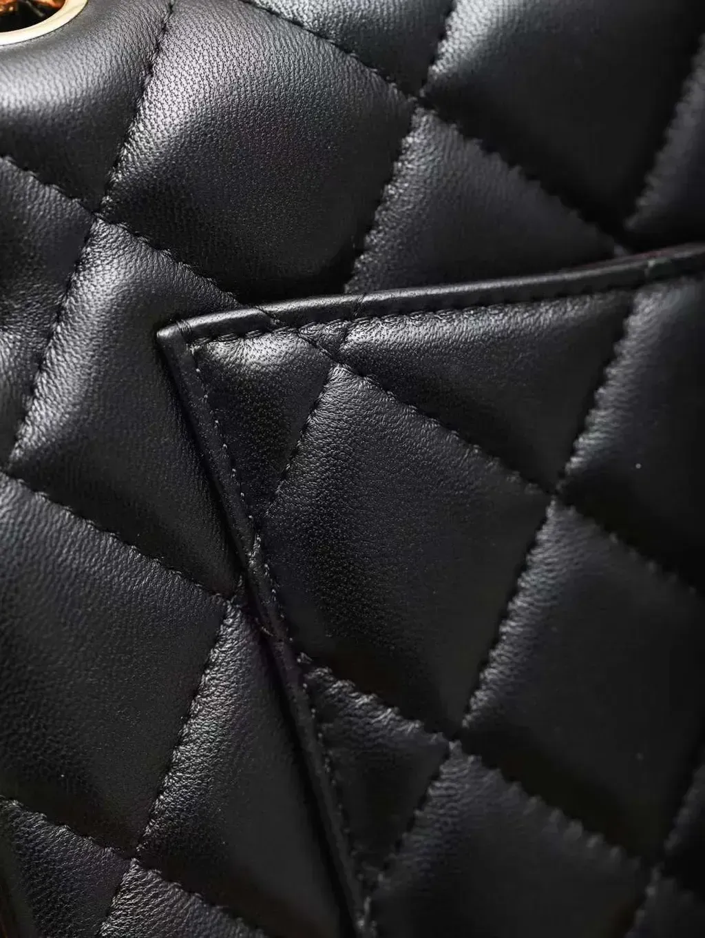 image_DDF156E7-B1A4-40DD-A1B4-B56E4913B725_1762268970