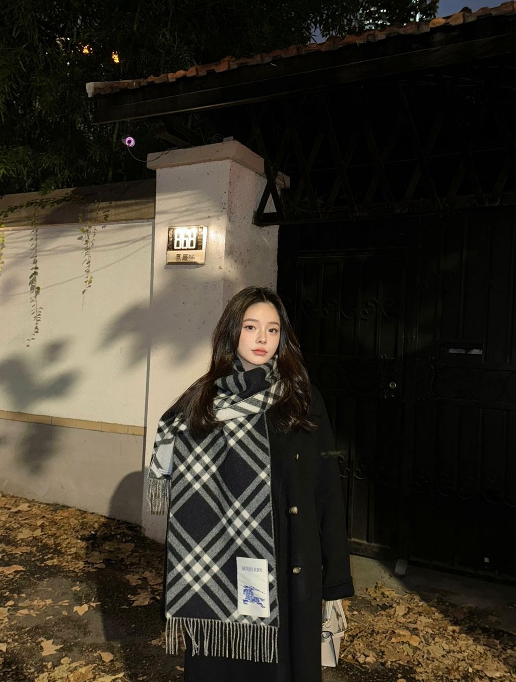 image_AB2EF679-59CA-4267-8F5F-49979D6BC32B_1764746413