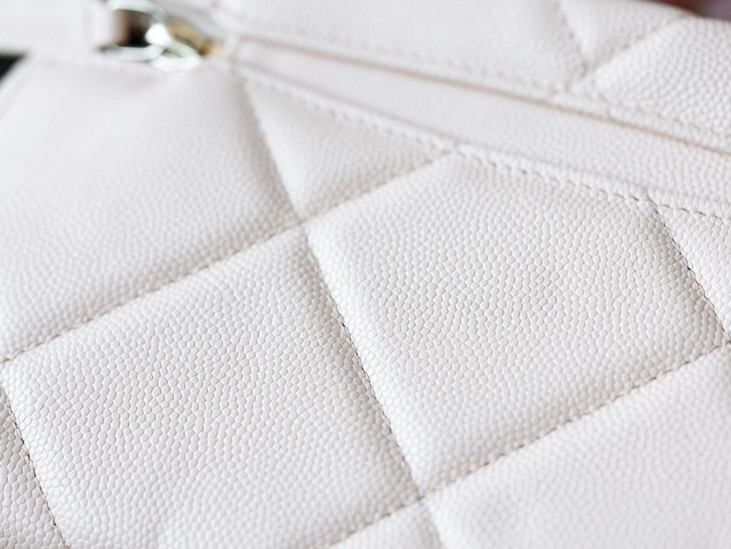 image_C96B1FED-03EA-47BC-876E-5ADDF9BF42E9_1766978401