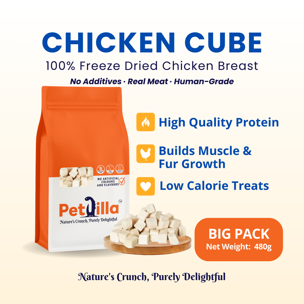 (B) Chicken Cube 480g