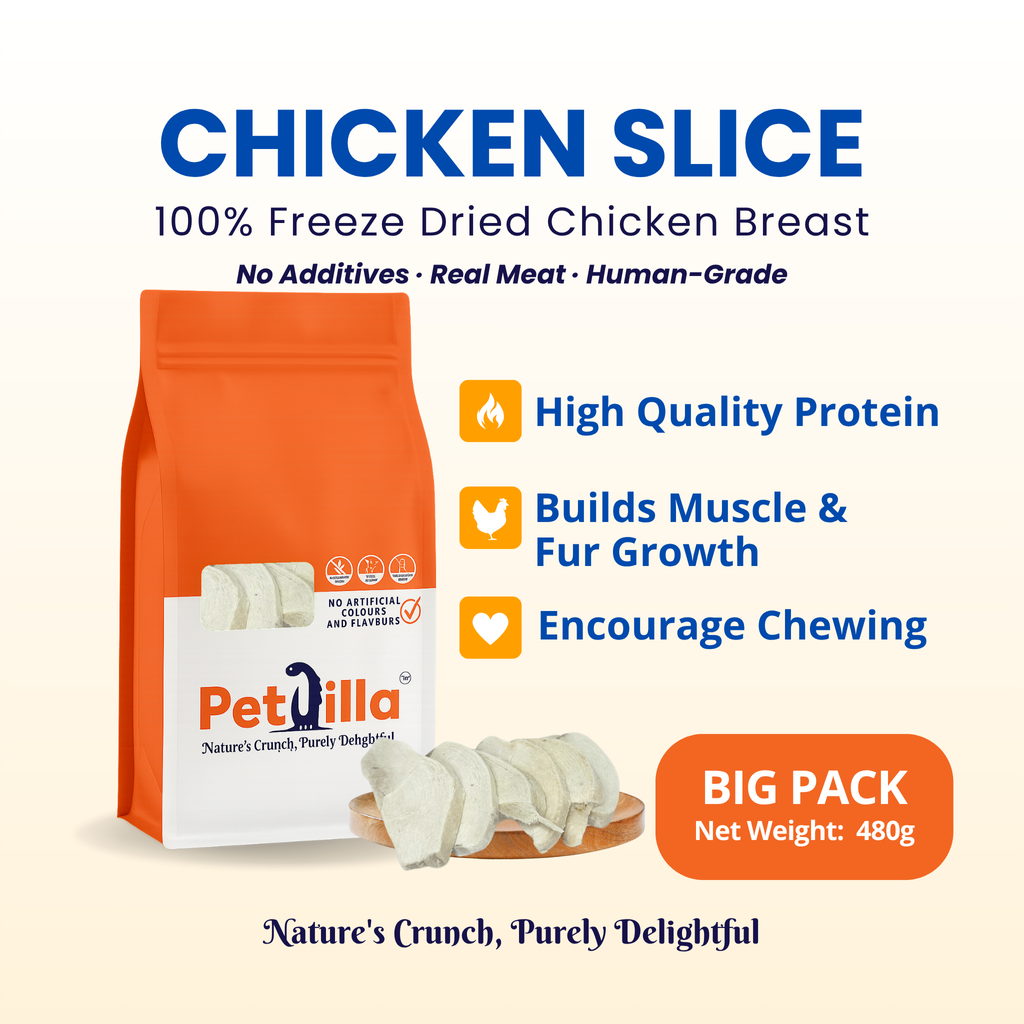 (B) Chicken Slice 480g