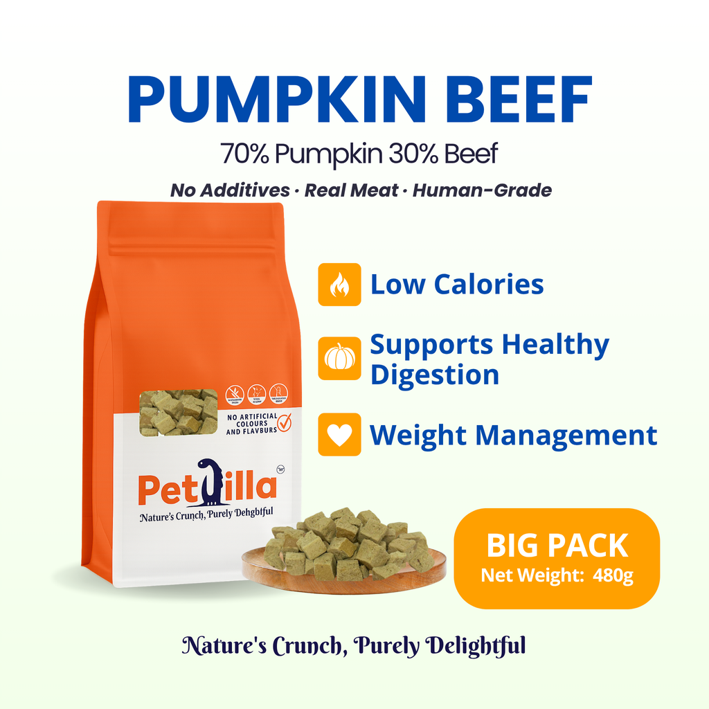 (B) Pumpkin Beef 480g
