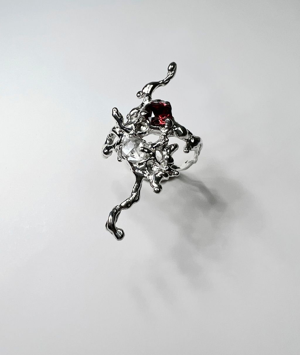 IMG_4111-1732859940909