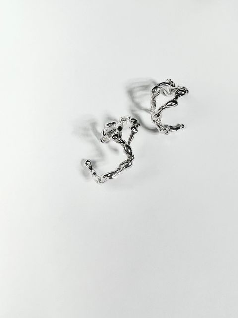 IMG_2587 2-1735542366446