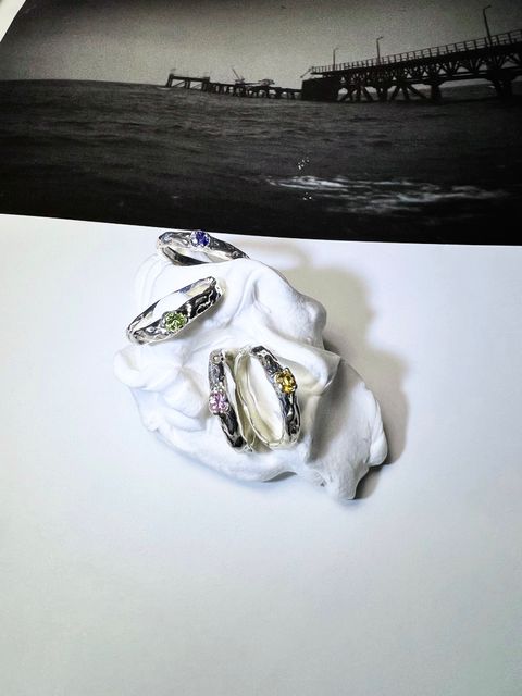 IMG_3835 2-1735542984821