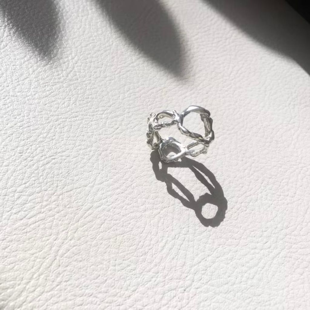 IMG_6428-1737273920508