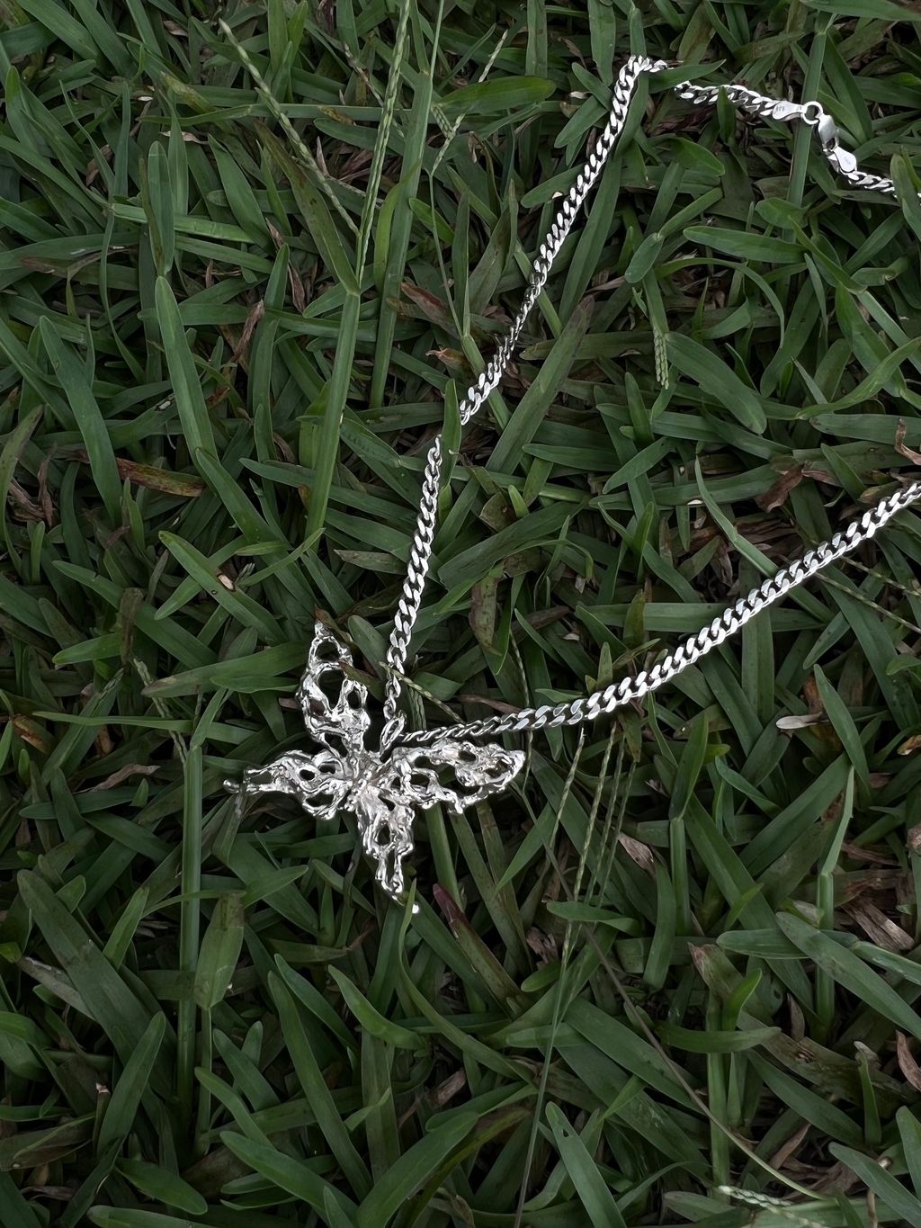 image_29A90578-983B-4CED-A4DB-D970616A144F_1741823830