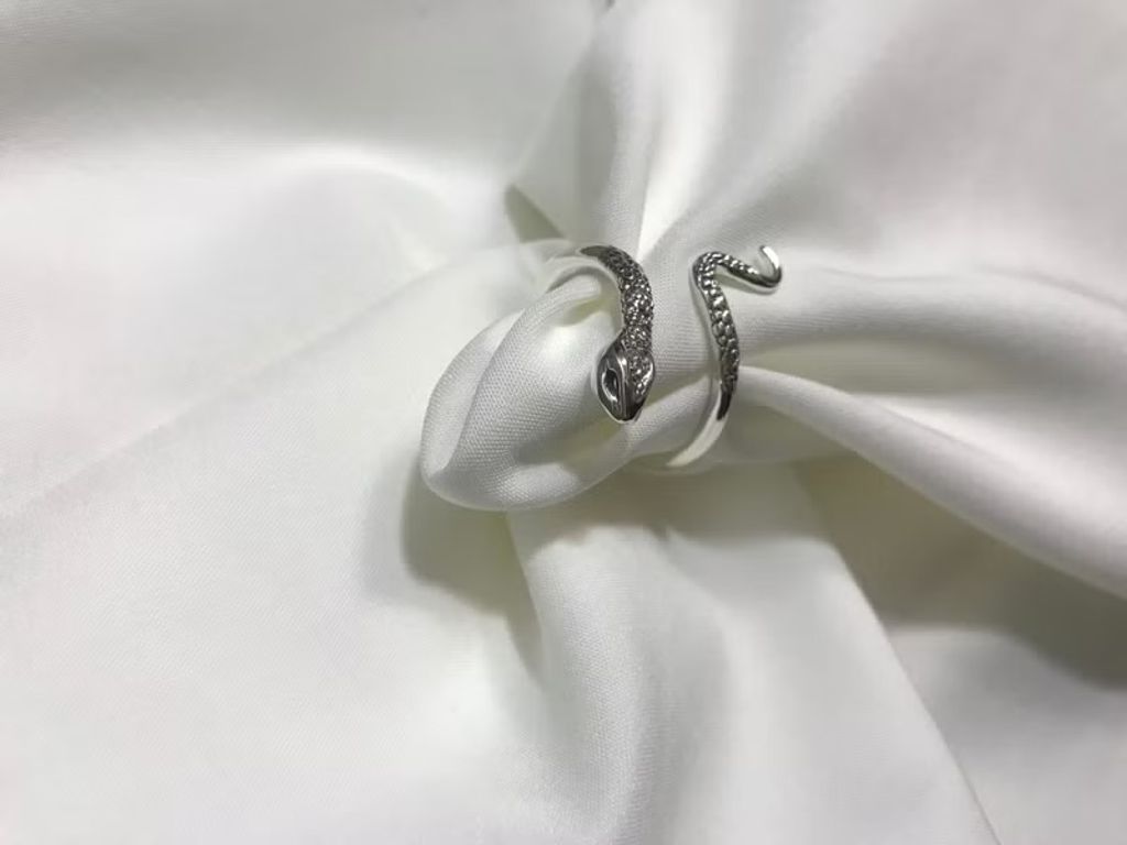 image_0F10AA4C-23C3-46C0-9156-2FDE8B75D4EF_1744180941