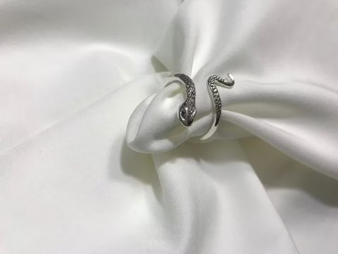 image_0F10AA4C-23C3-46C0-9156-2FDE8B75D4EF_1744180941