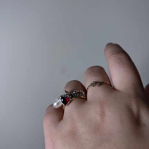 image_D705C211-BEB4-4E05-A179-DD3EBC7D0B90_1770029404