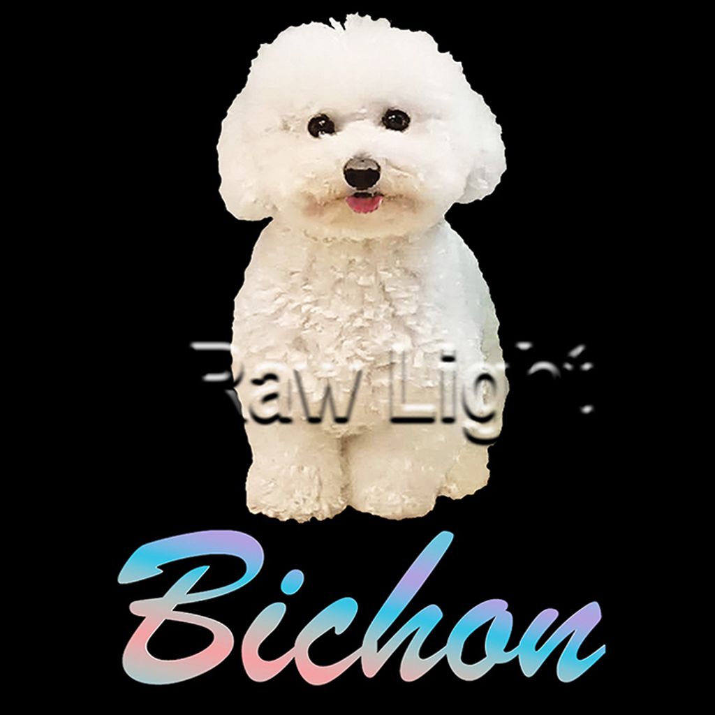 長T655_男(比熊)H70