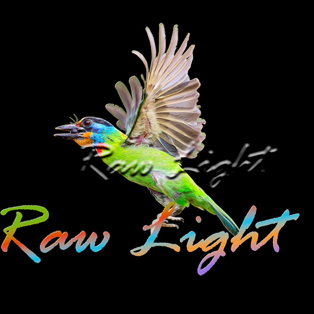 頭套(五色鳥)H55