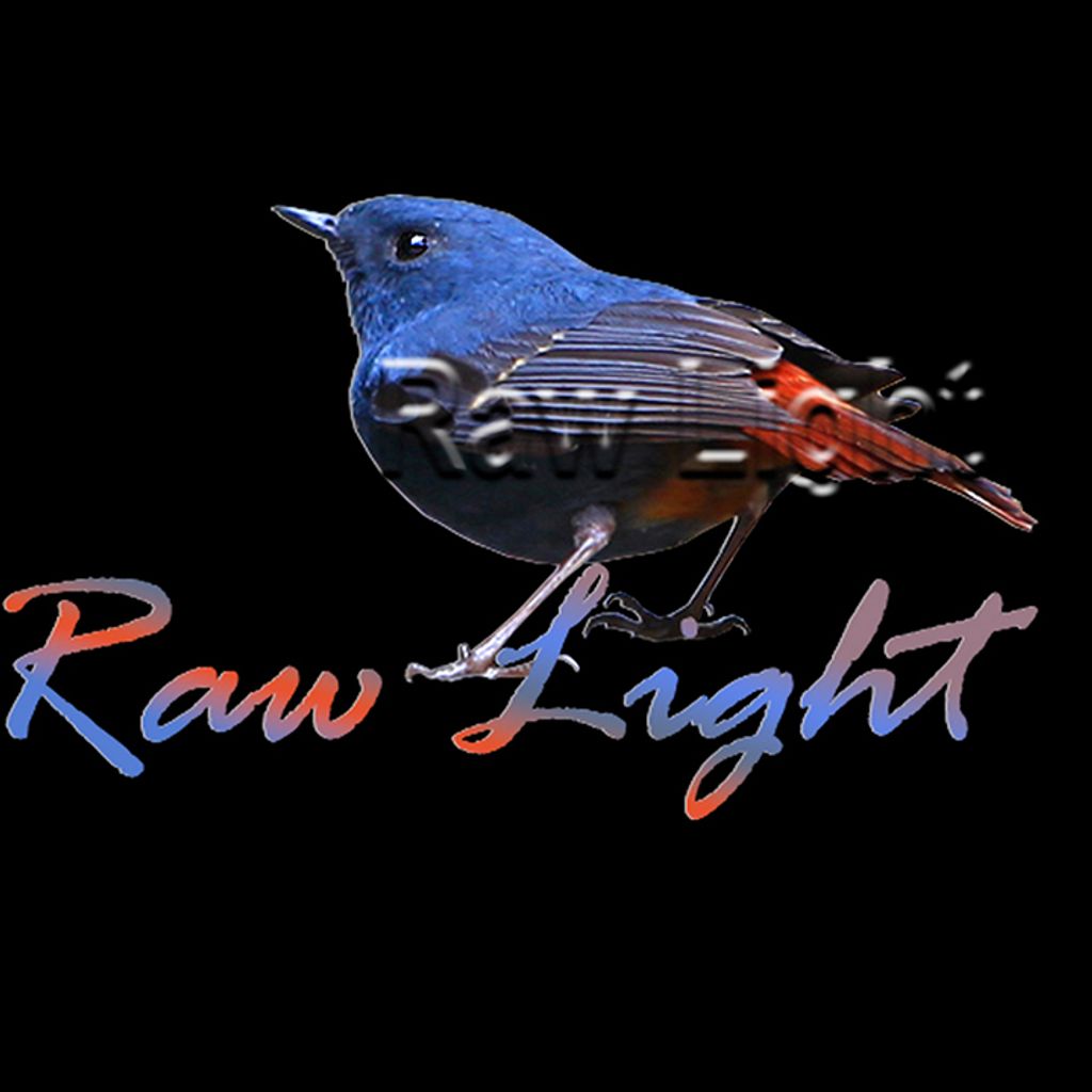 頭套(鉛色水鶇_雄)H45