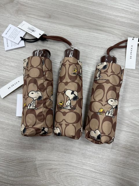 line_oa_chat_250904_225943