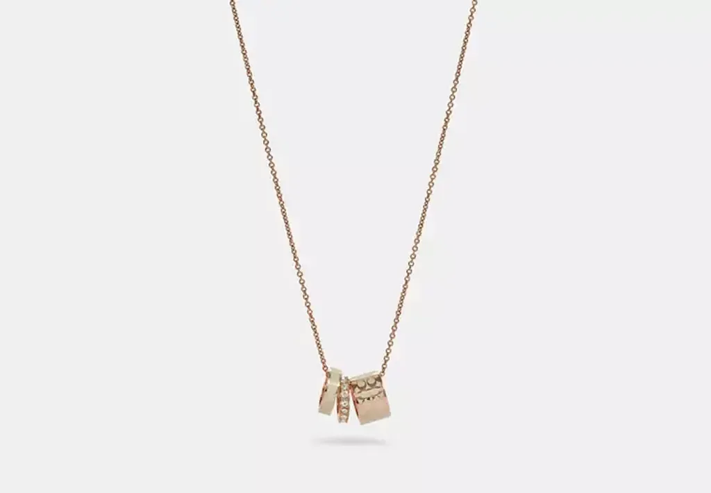 image_21148B81-438A-4D27-A990-72F6AF56B25B_1767376101