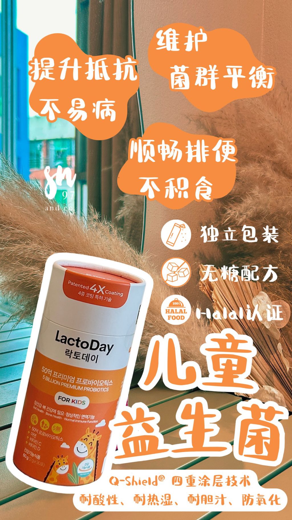 image_0A99CA0B-F9EB-43DA-A324-B60516AB0A87_1757572331