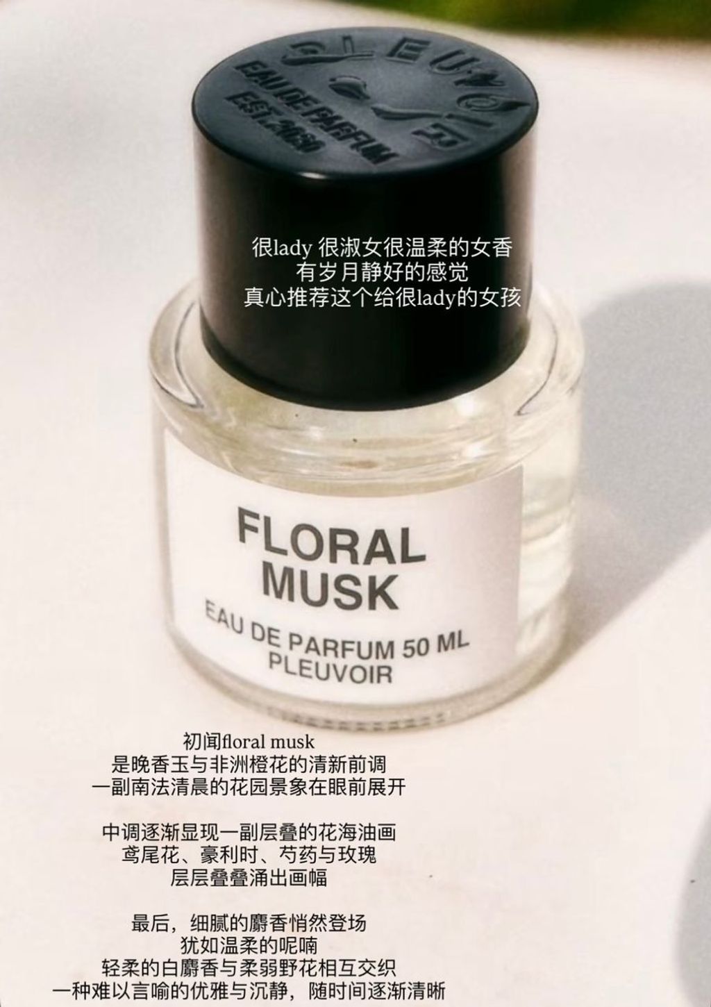 WhatsApp Image 2025-10-30 at 4.36.13 PM (1)