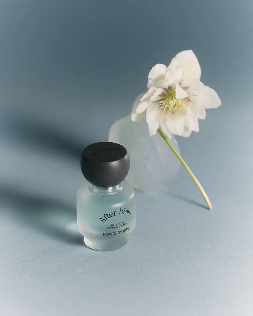 WhatsApp Image 2025-10-31 at 5.18.30 PM (2)