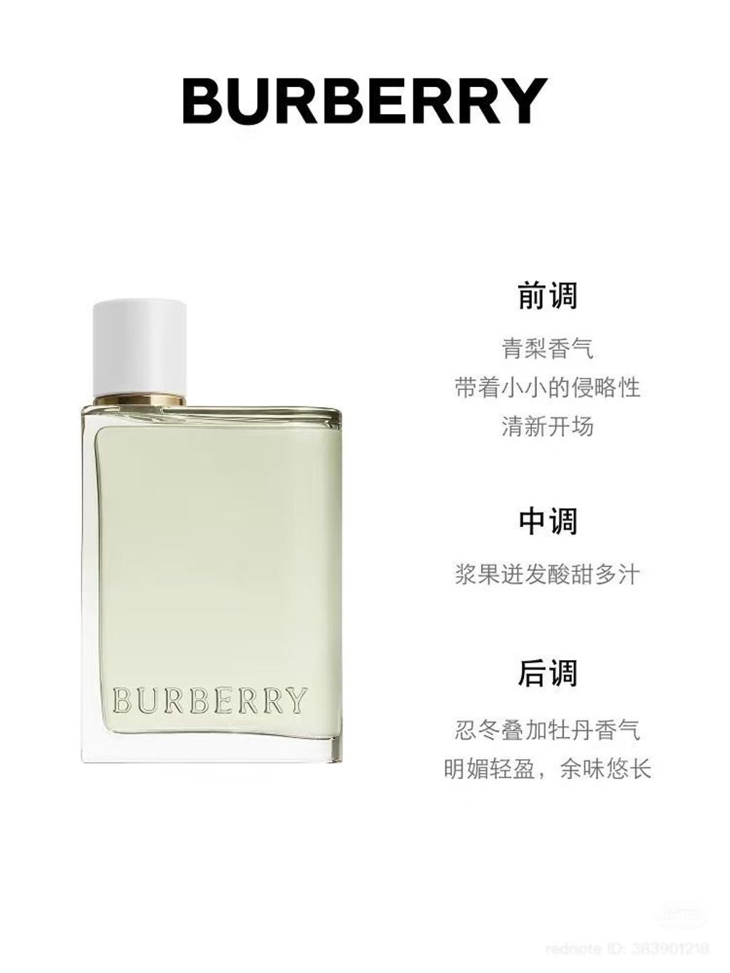 WhatsApp Image 2025-11-01 at 11.14.34 AM (2)