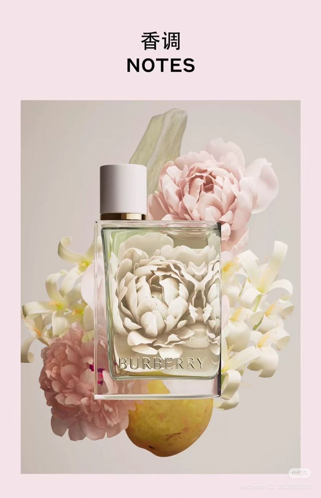 WhatsApp Image 2025-11-01 at 11.14.35 AM