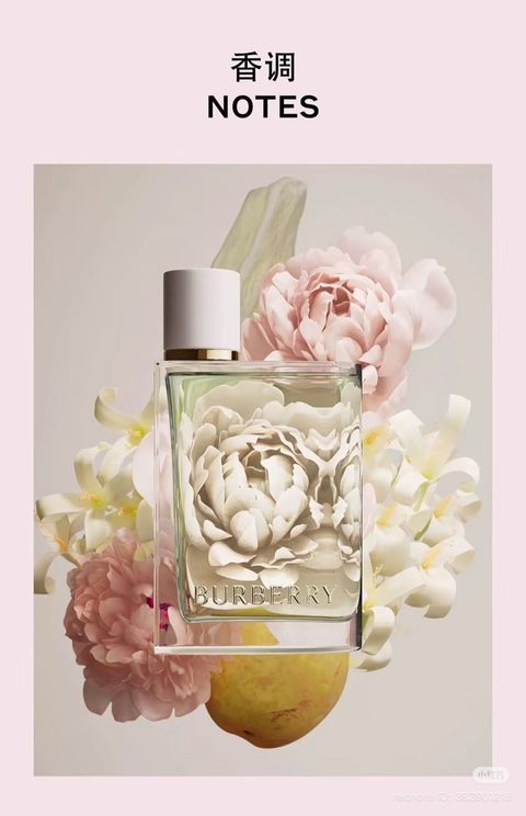 WhatsApp Image 2025-11-01 at 11.14.35 AM