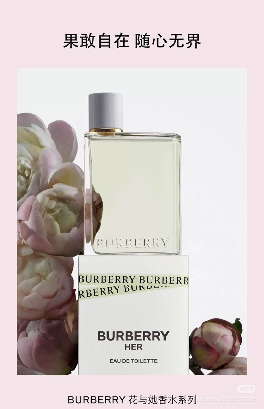 WhatsApp Image 2025-11-01 at 11.14.34 AM (1)