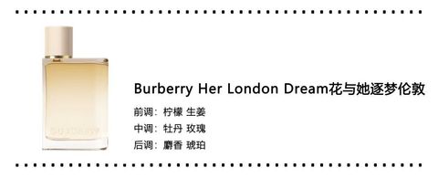 WhatsApp Image 2025-11-01 at 11.41.03 AM