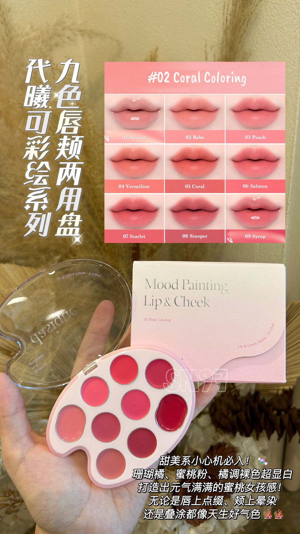 DASIQUE MOOD PAINTING LIP & CHEEK PALETTE 6G #02 CORAL COLORING