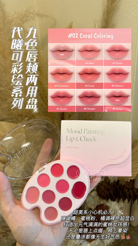 DASIQUE MOOD PAINTING LIP & CHEEK PALETTE 6G #02 CORAL COLORING