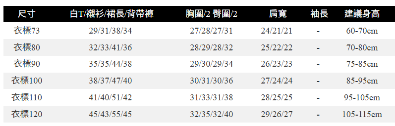 螢幕擷取畫面 2025-06-09 130441