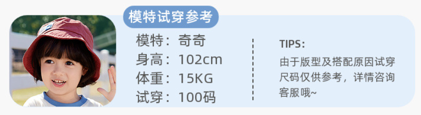 螢幕擷取畫面 2025-06-20 171637