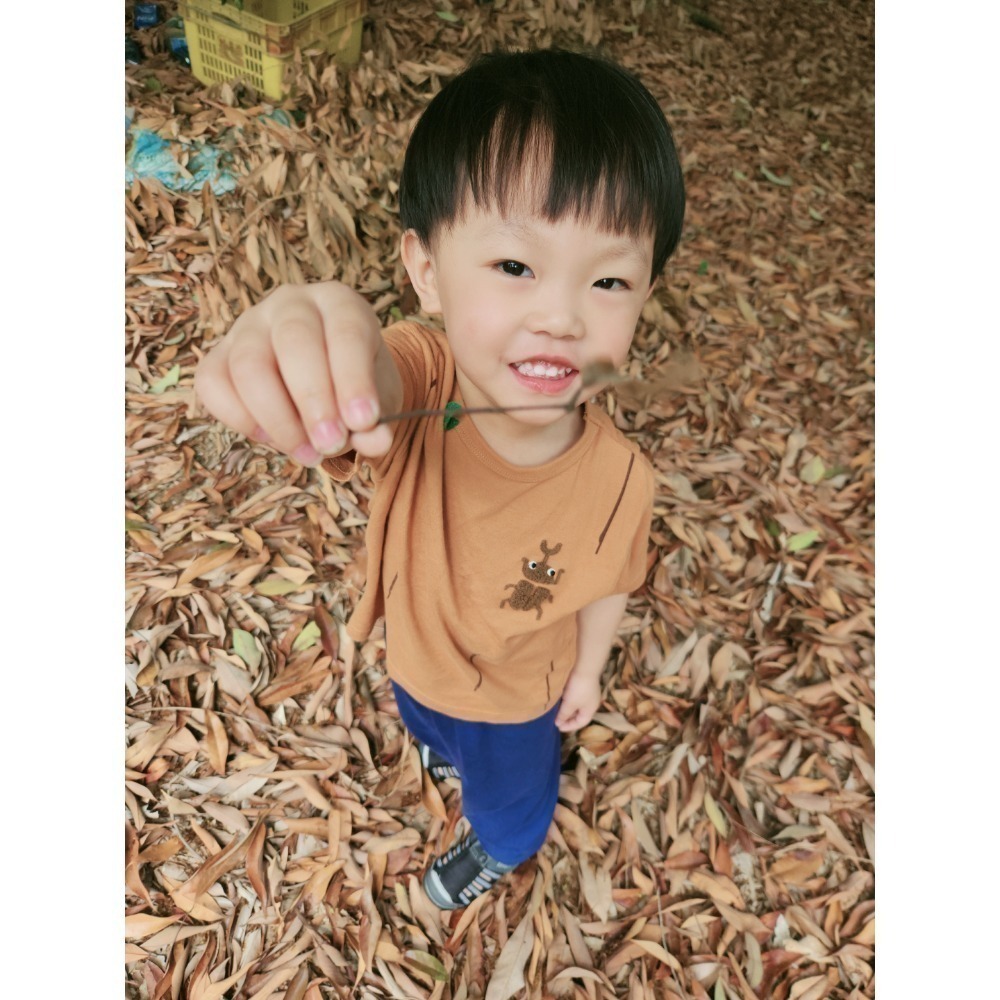 tw-11134207-7ra0l-mdcoy7lorgq2c0