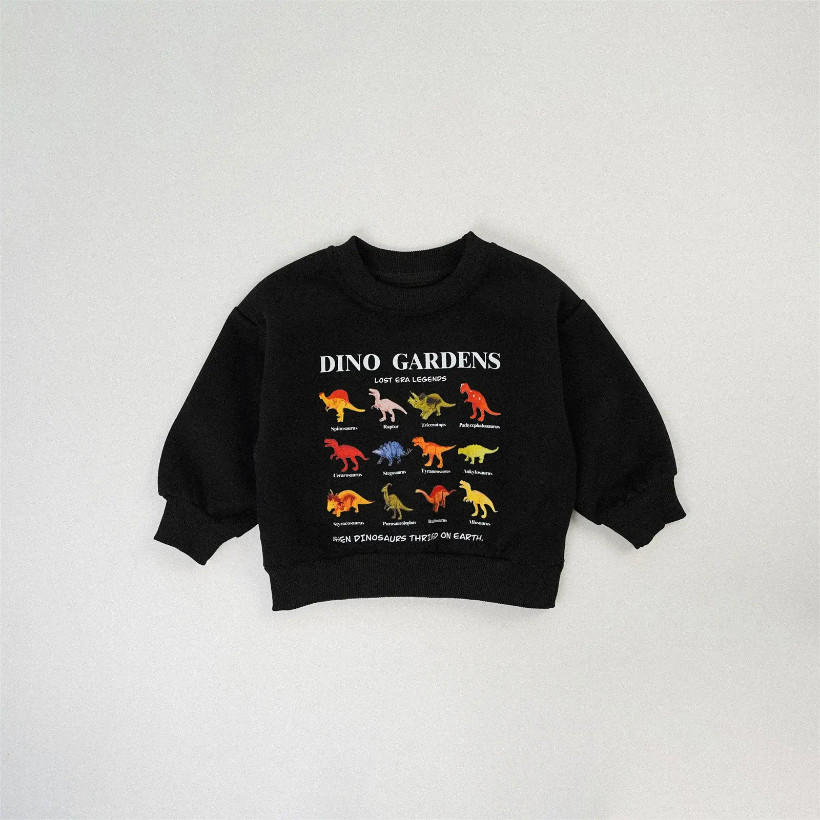 O1CN0174Dka11vBswTU1gdO_!!3246596135-0-cib.jpg_