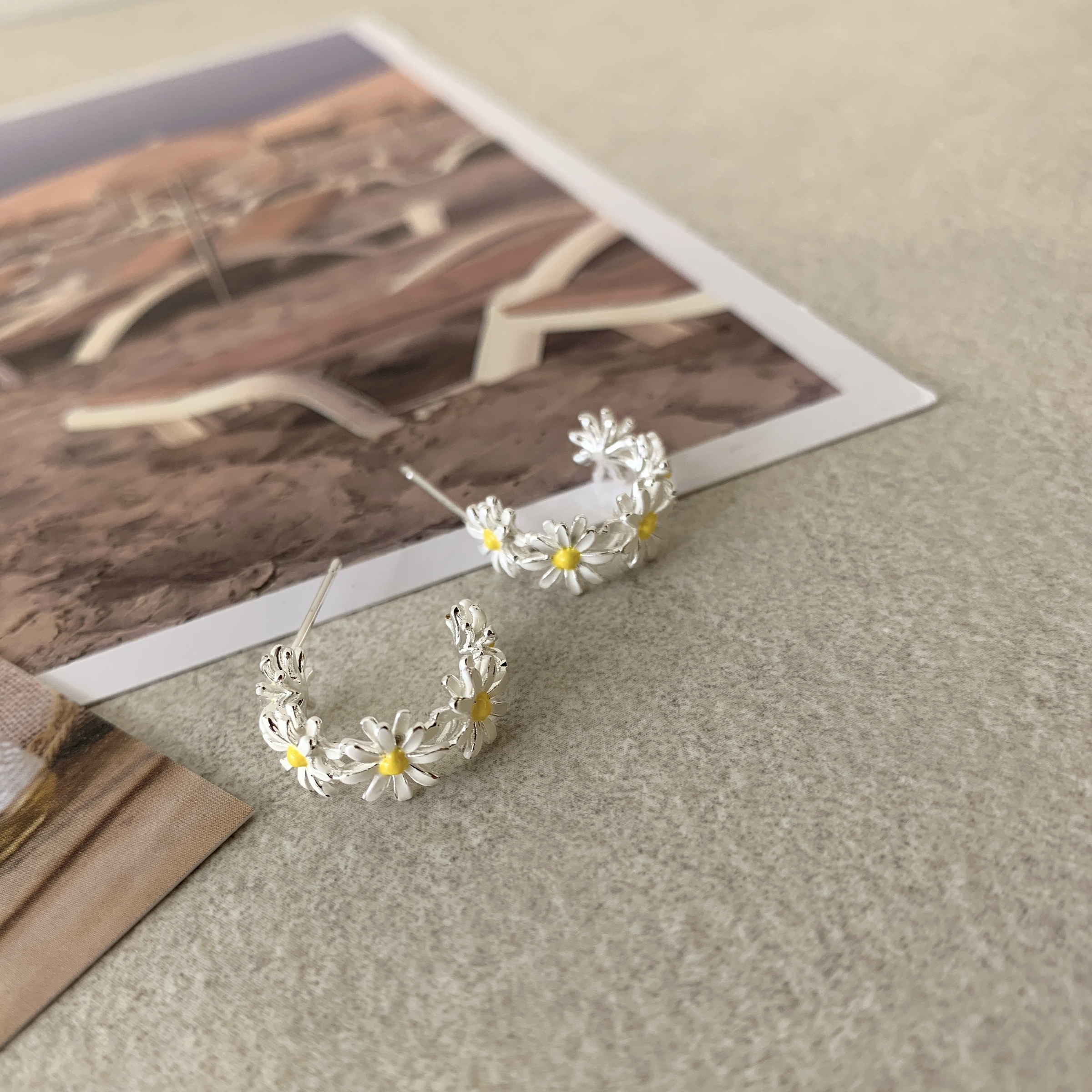 image_8AC1243E-DE6F-4B9C-A42A-CBA2C43EBC6A_1773127529