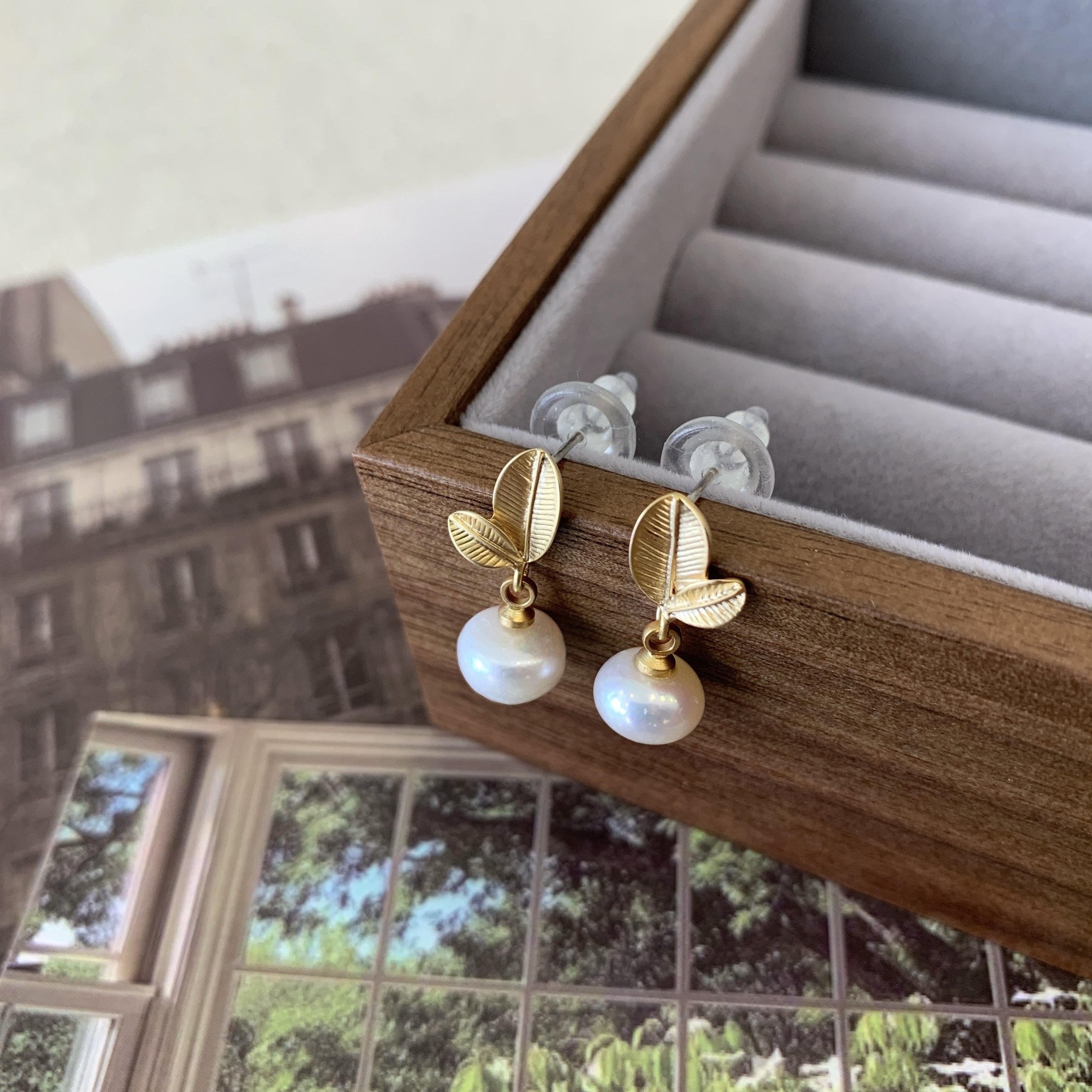 image_5F12F8BD-79E1-43B0-9111-AF4AF4962A67_1773130645