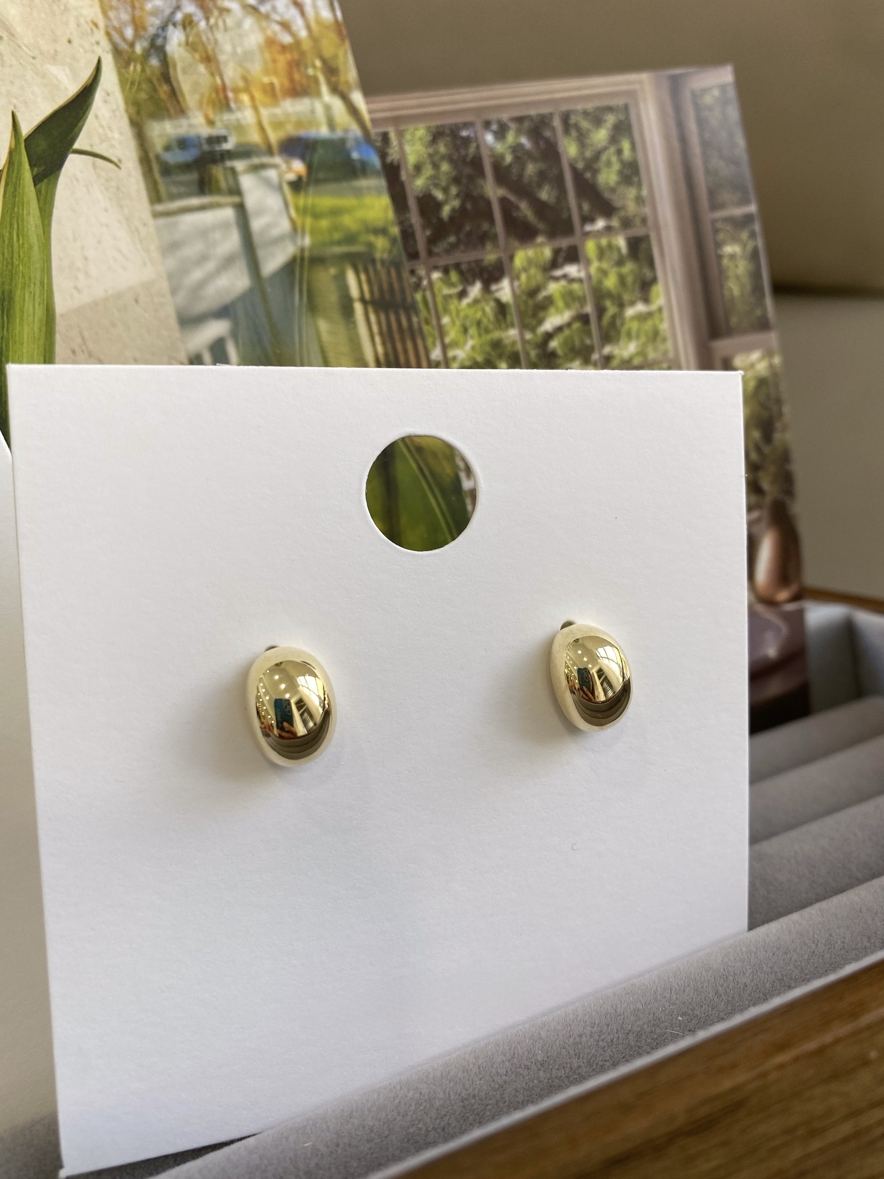 image_B78DF4E7-2032-4C82-B2C0-4F61B18794AC_1773131356