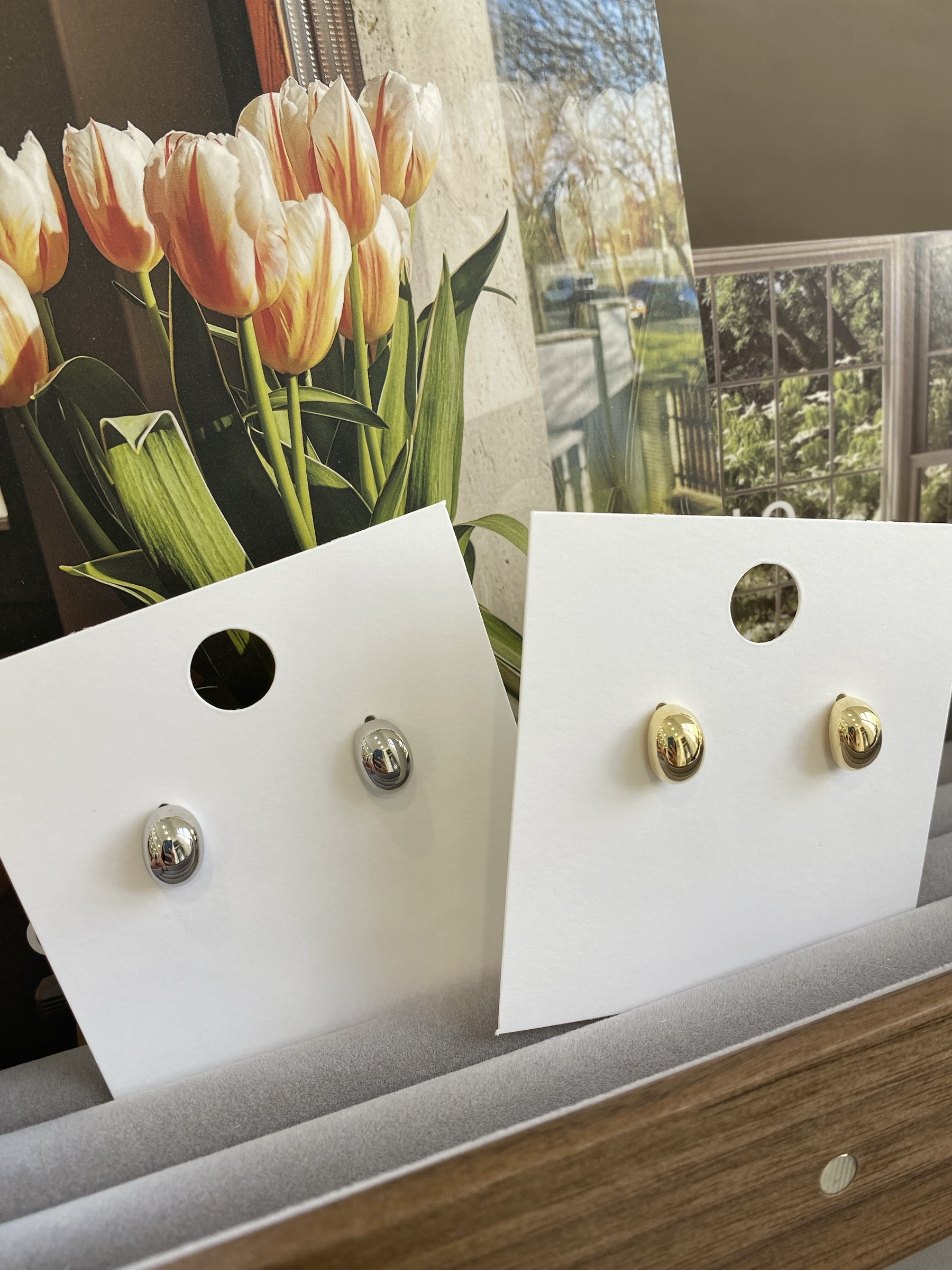 image_D157B402-CC7B-45F9-ACF0-B3C6BB2FDF51_1773131356