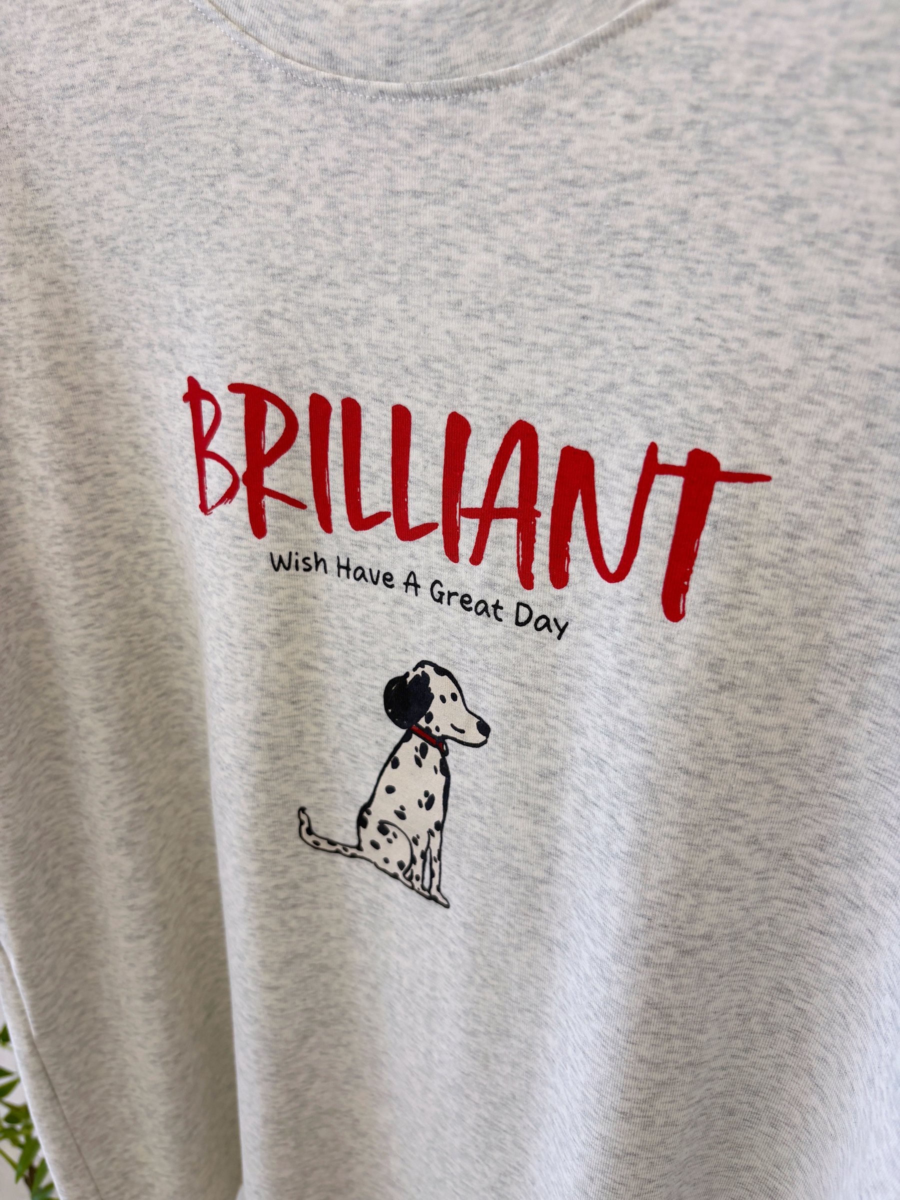 image_454DCF46-2278-4189-8122-0DCD5237DAC8_1775034484