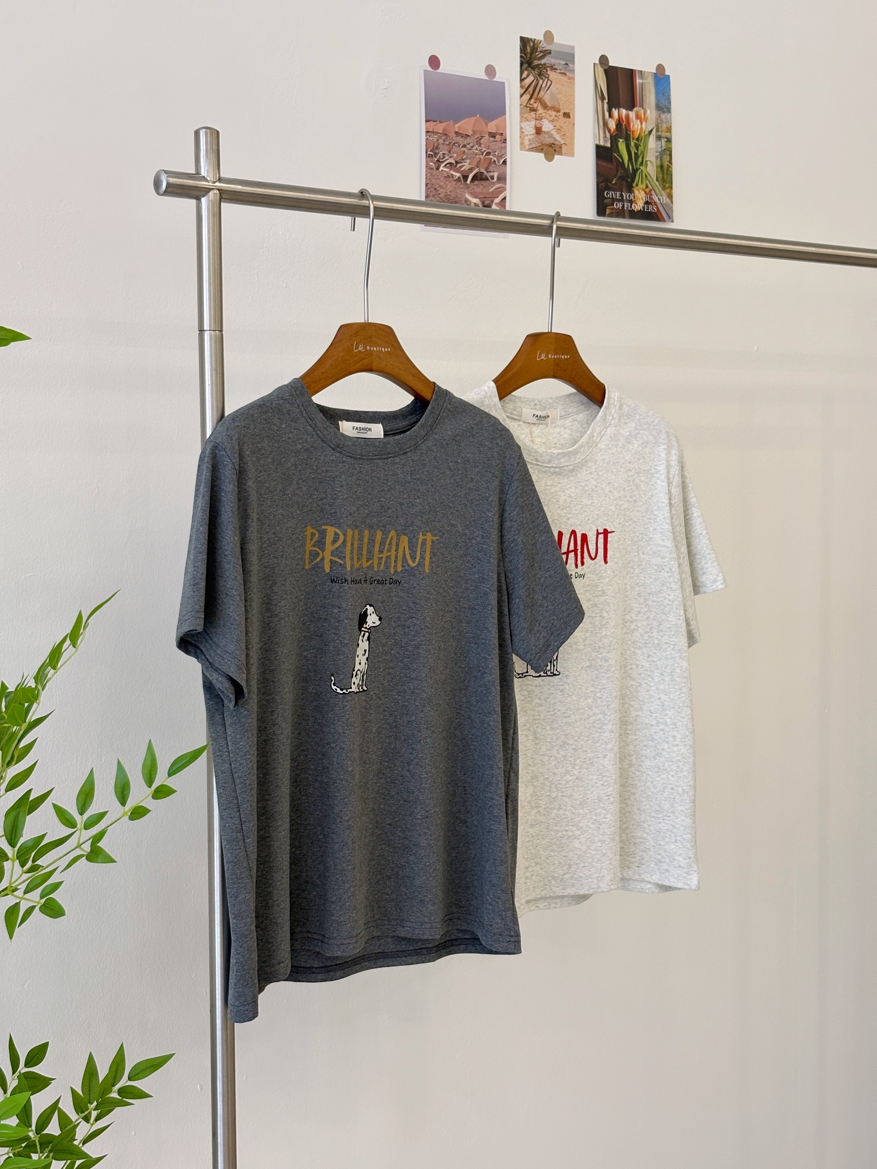 image_D36DD8FE-2442-4FE5-9AAE-4C20F02DC47B_1775034484