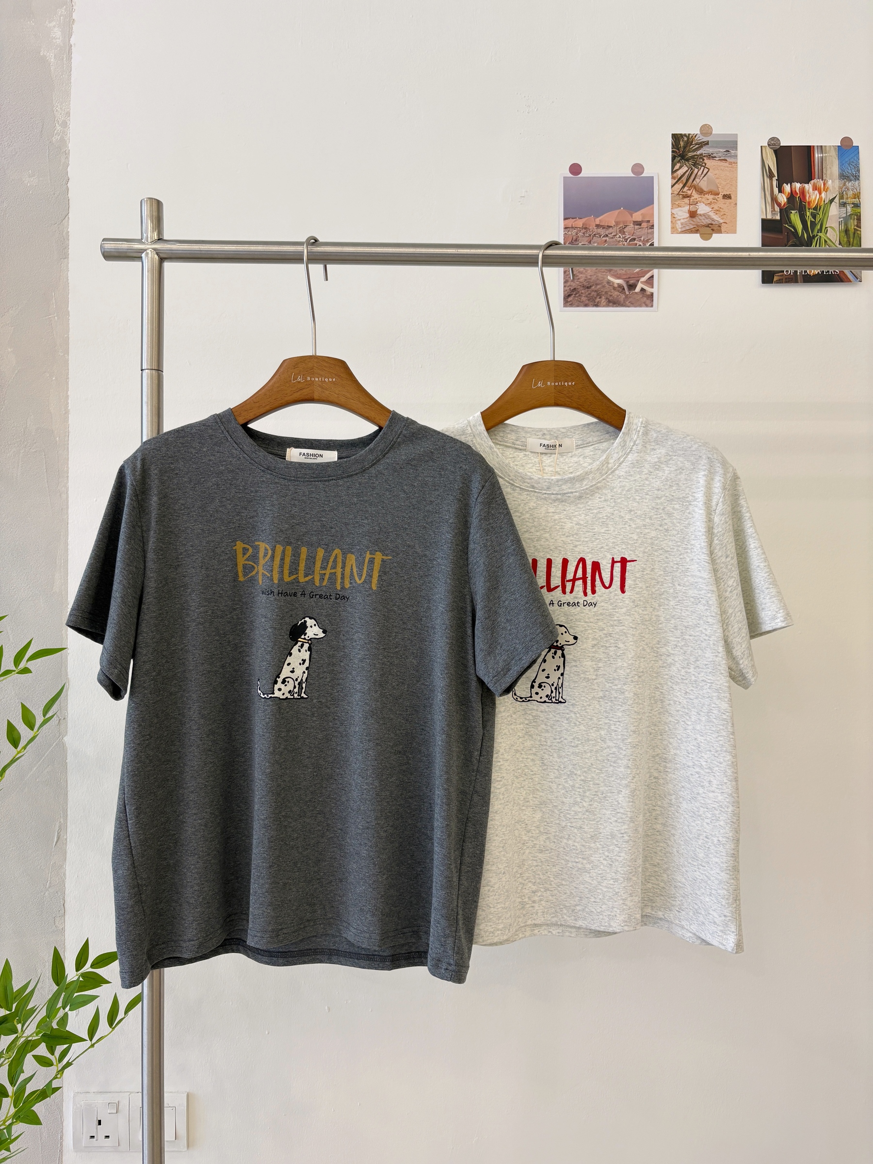 image_C66CC694-49F4-4C5A-B803-7D84ADDD4A0A_1775034484