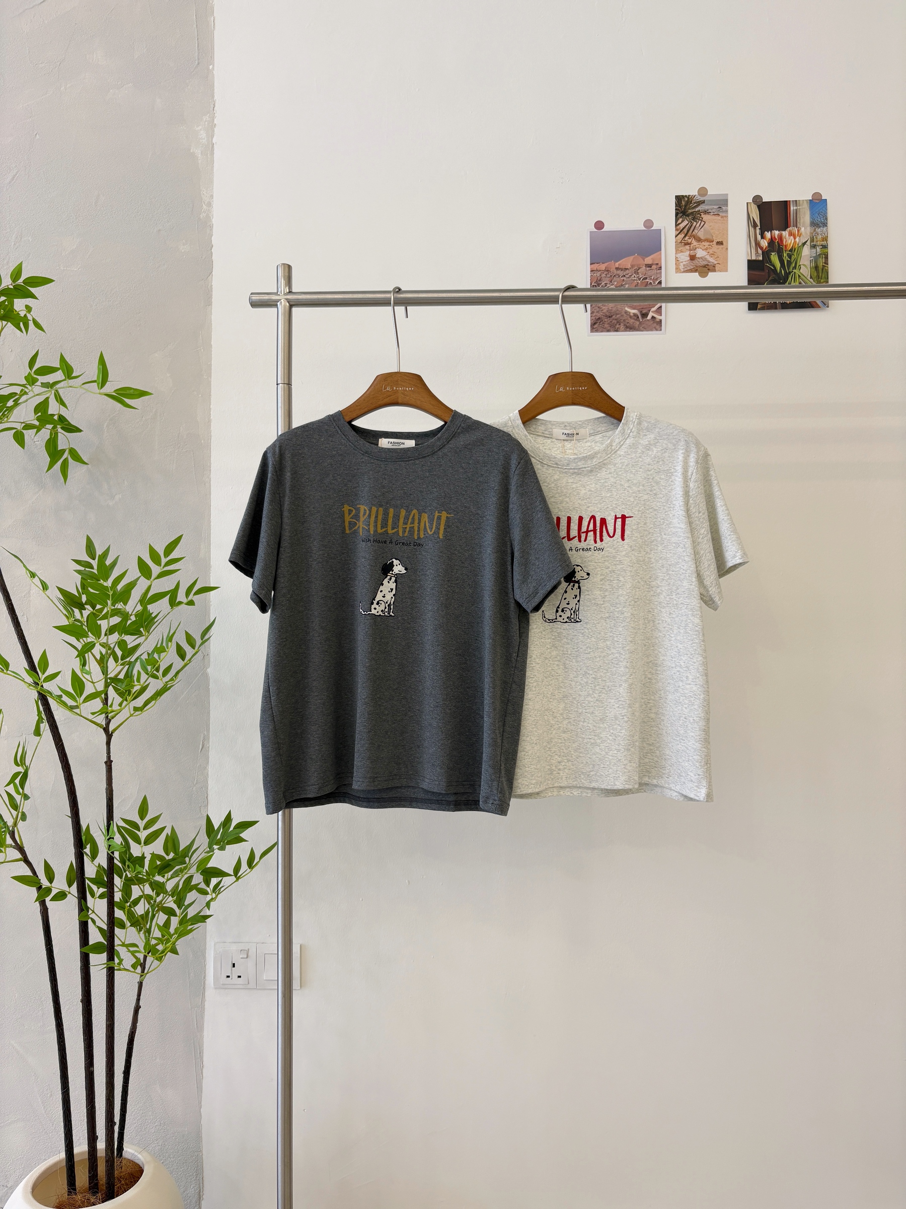 image_AB706045-FCE7-4F3E-ACF2-795184D90EB4_1775034484