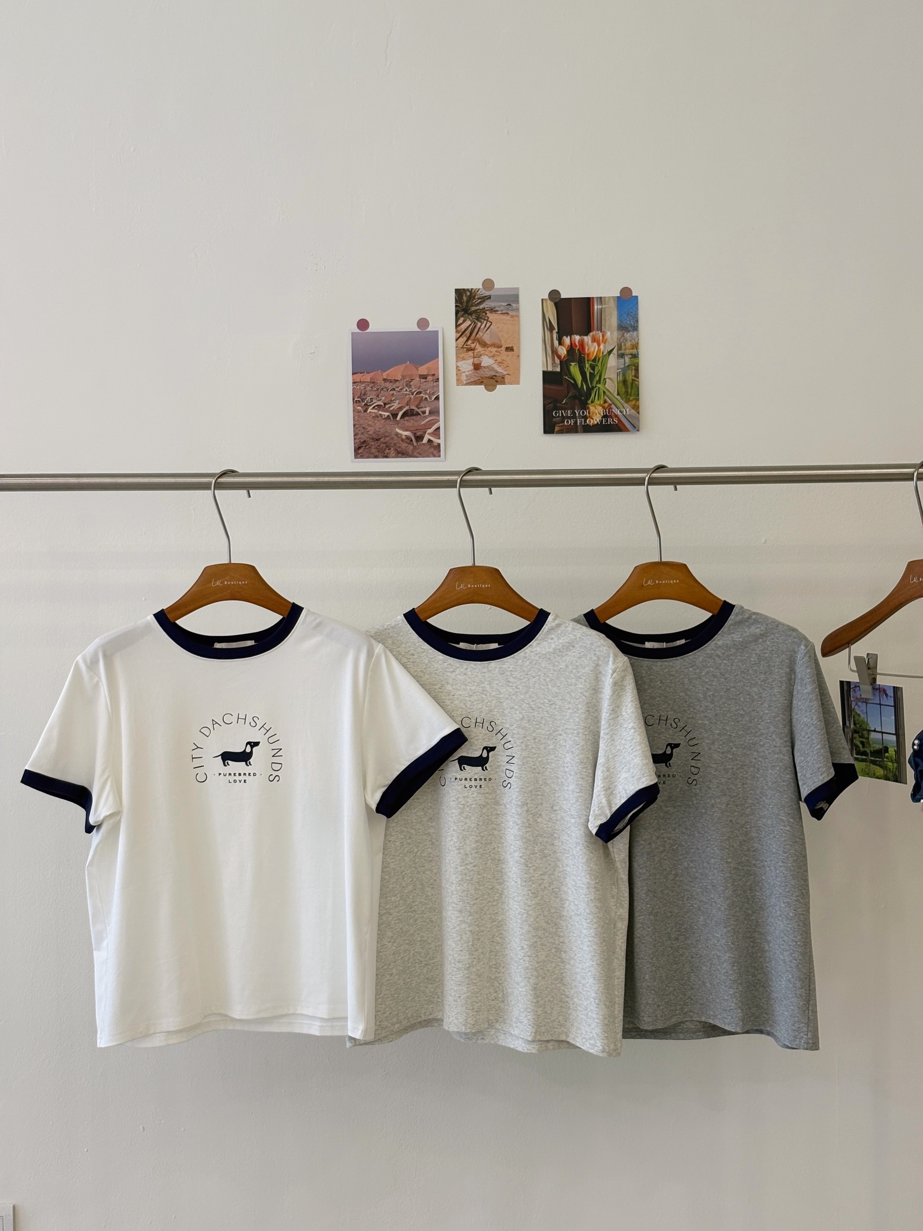 image_895C5F04-DA85-47DE-ADF2-068684DD9AB7_1775987036