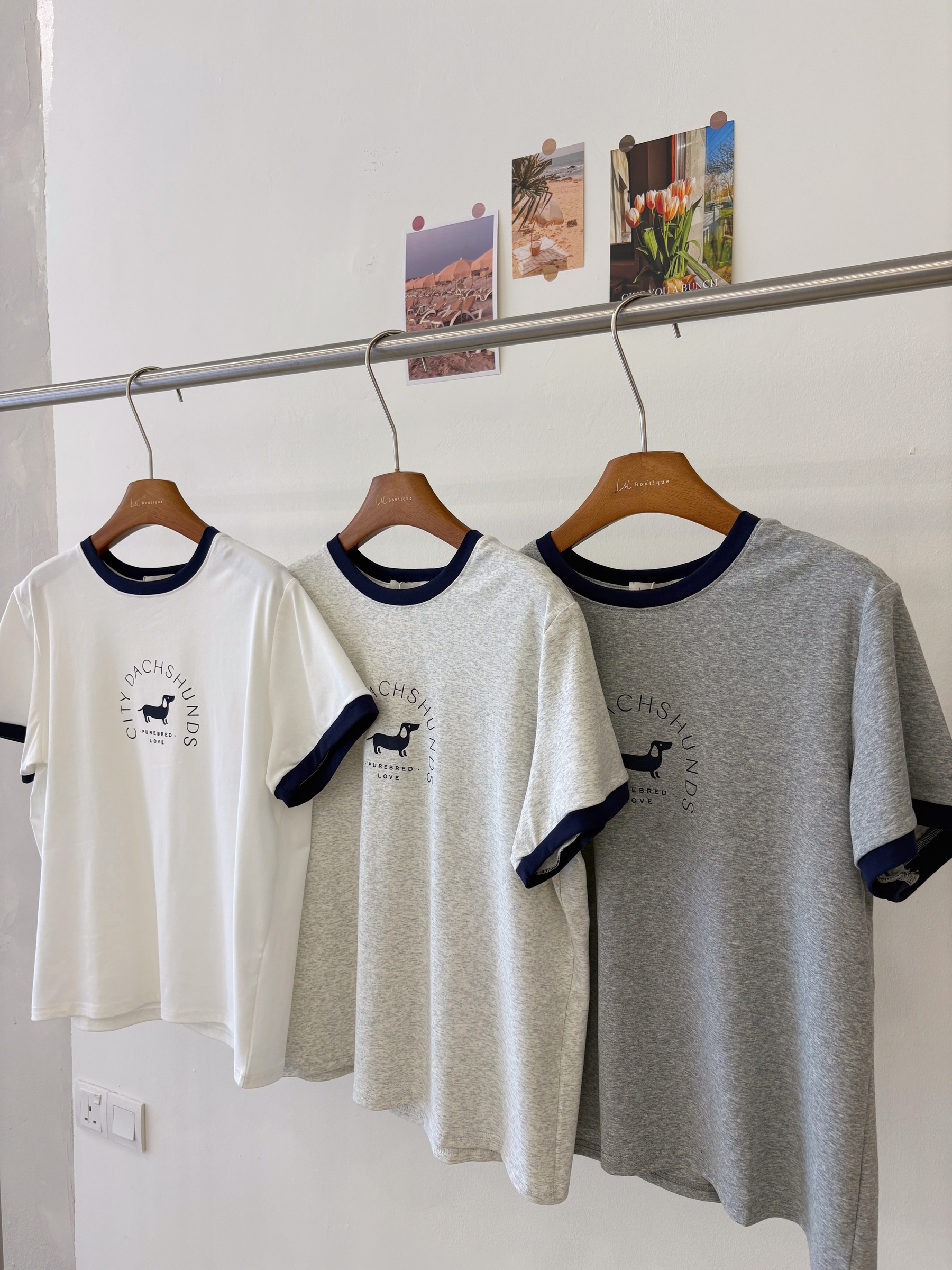 image_31D43264-7202-43B2-92B9-F2DA5BF524EE_1775987036