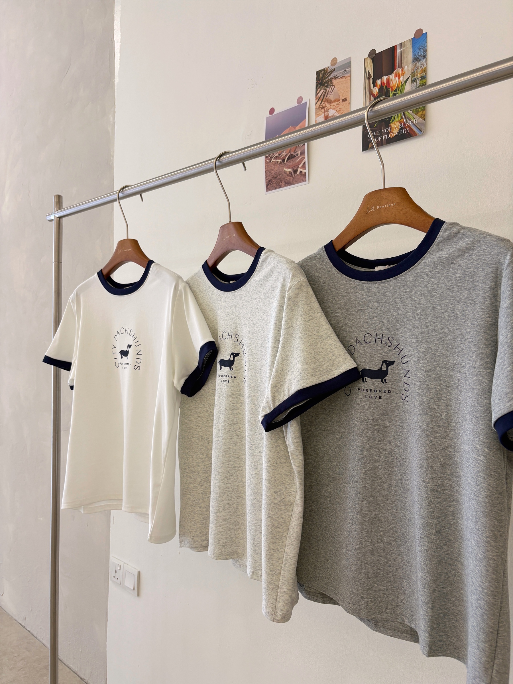 image_AFC82C08-982C-4EE6-8C07-9F719F50C62F_1775987036