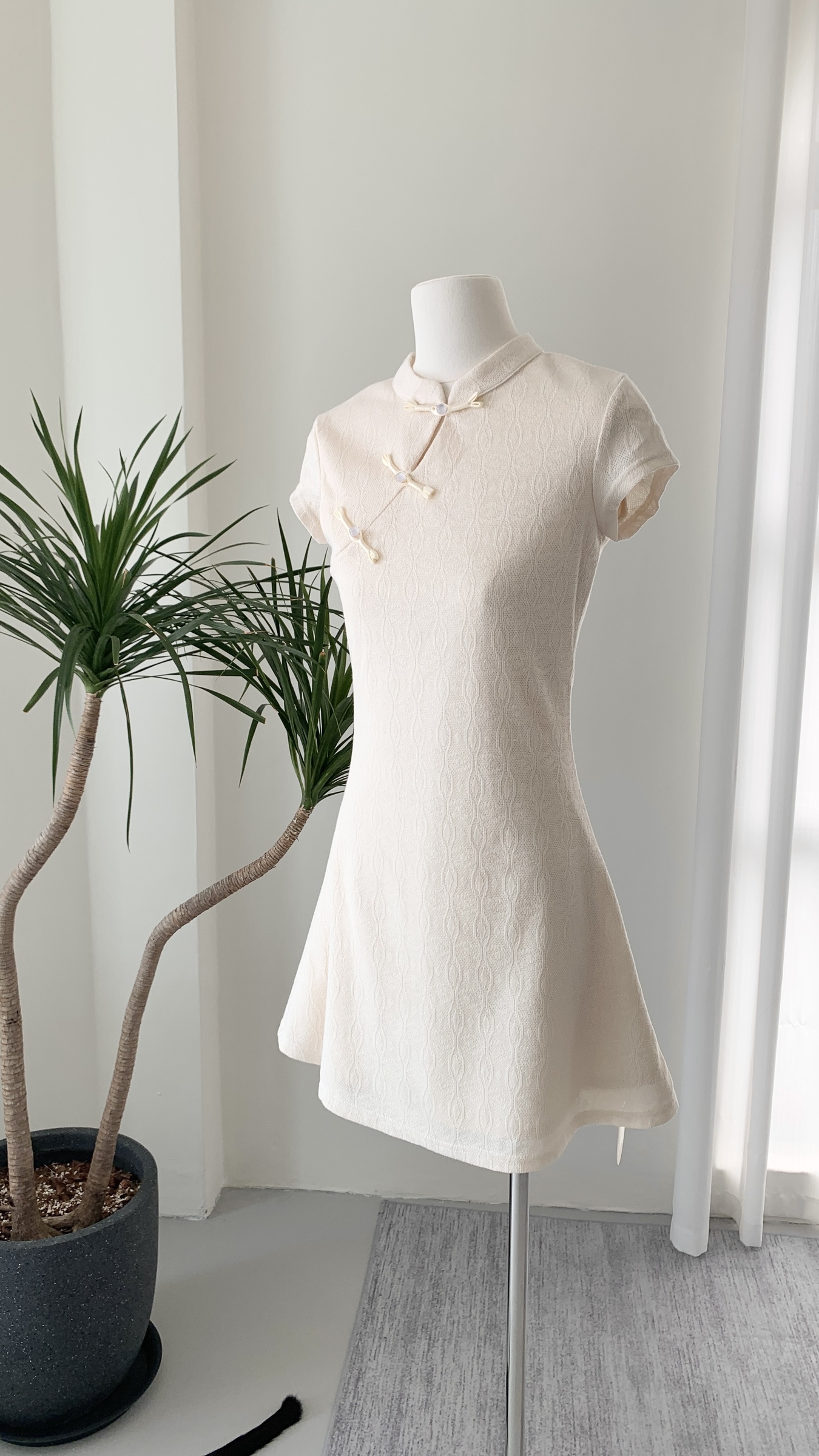 IMG_1370-1736077479660