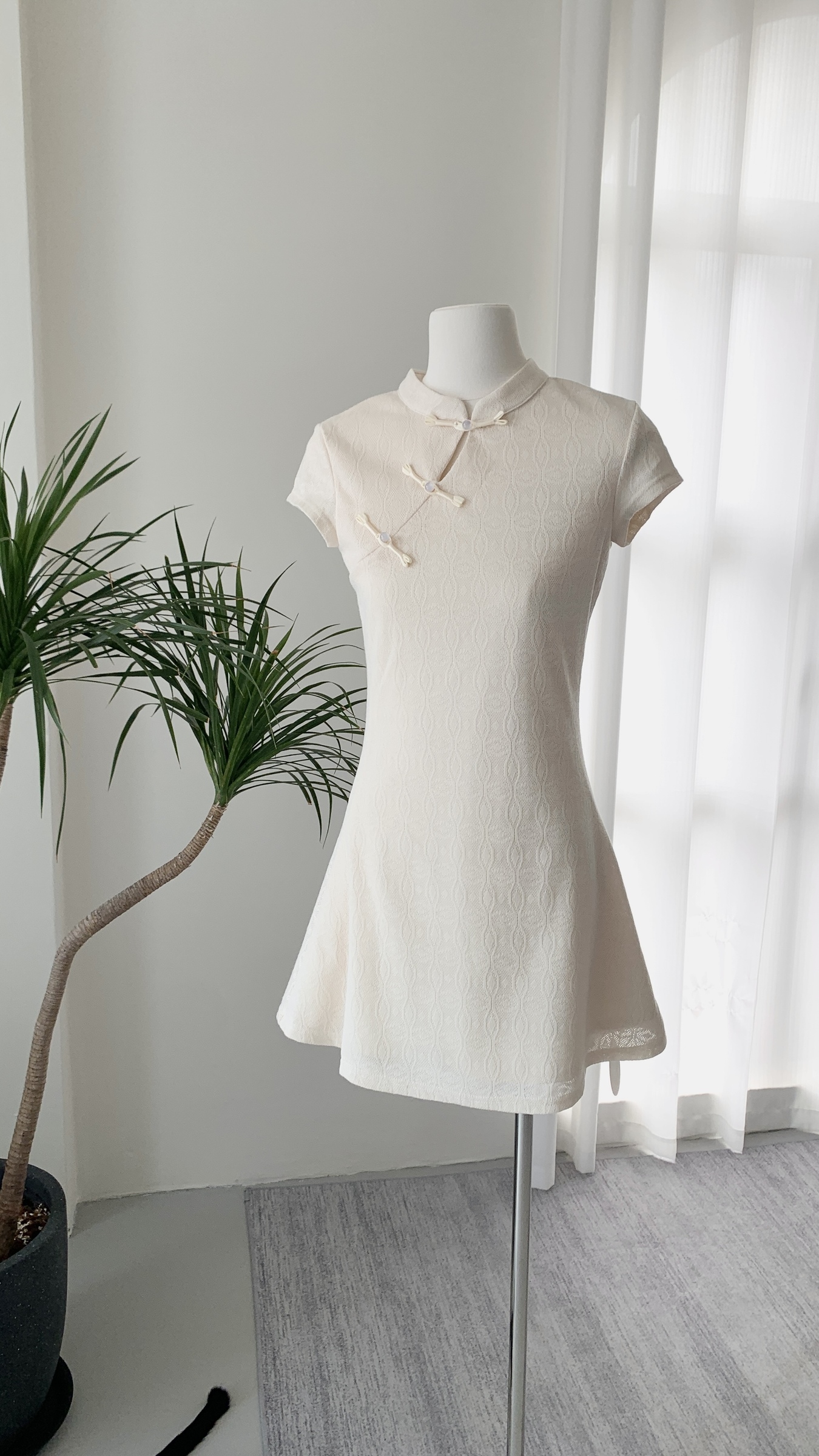 IMG_1369-1736077479657