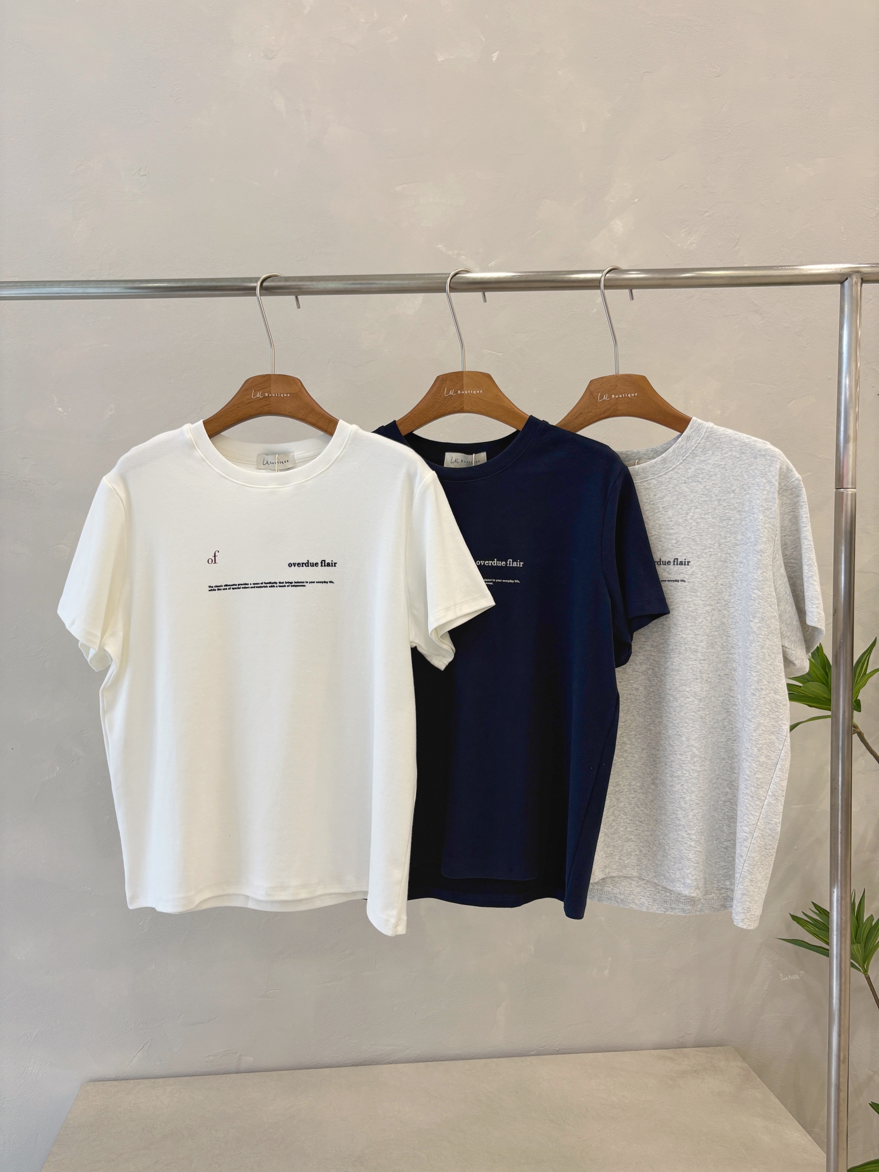 image_66186214-EA0F-4811-9516-30AAE5E7F000_1764237126