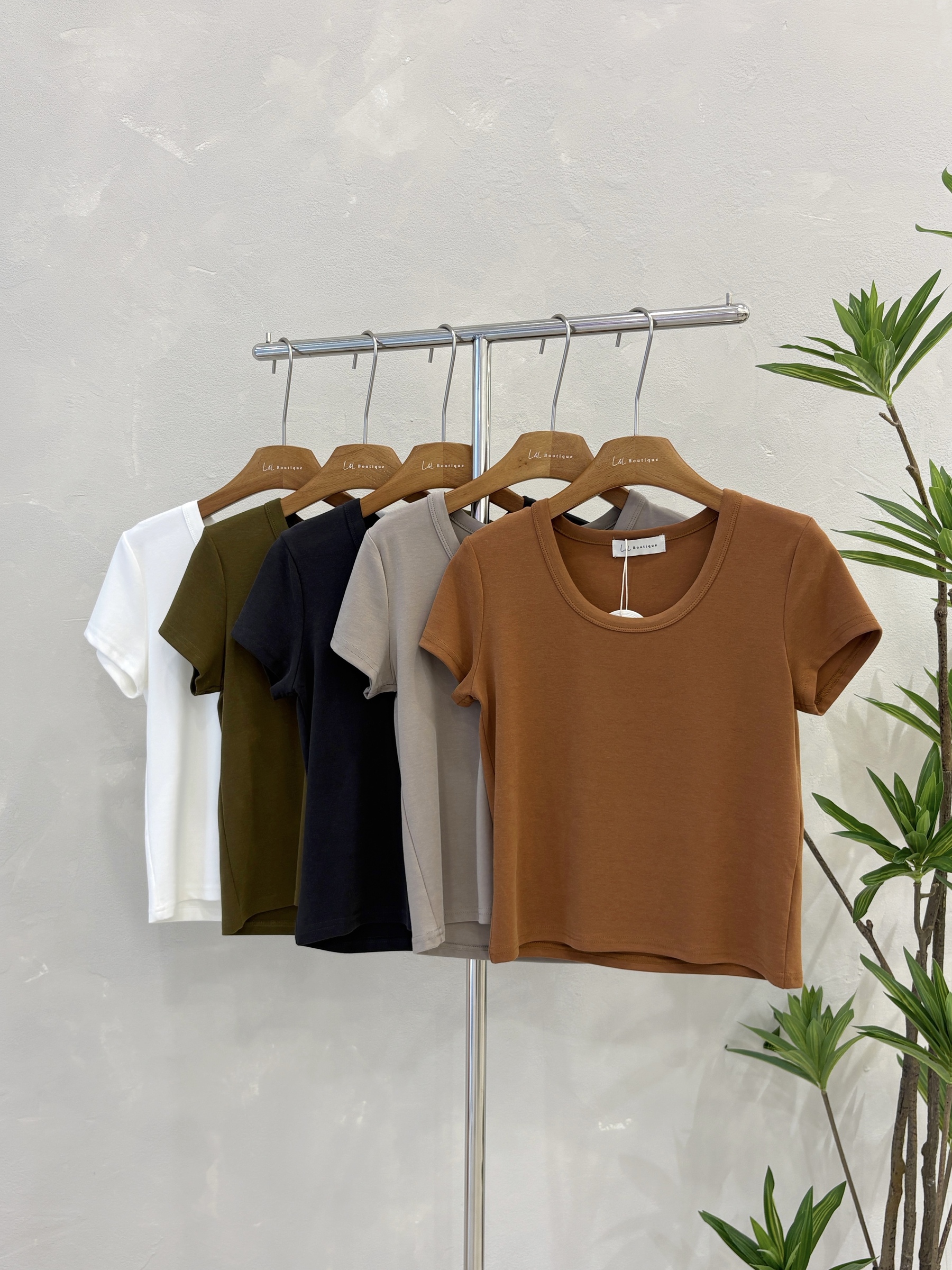 image_E26A5941-F159-40B4-8BDF-EBC89BA0BA10_1769429777