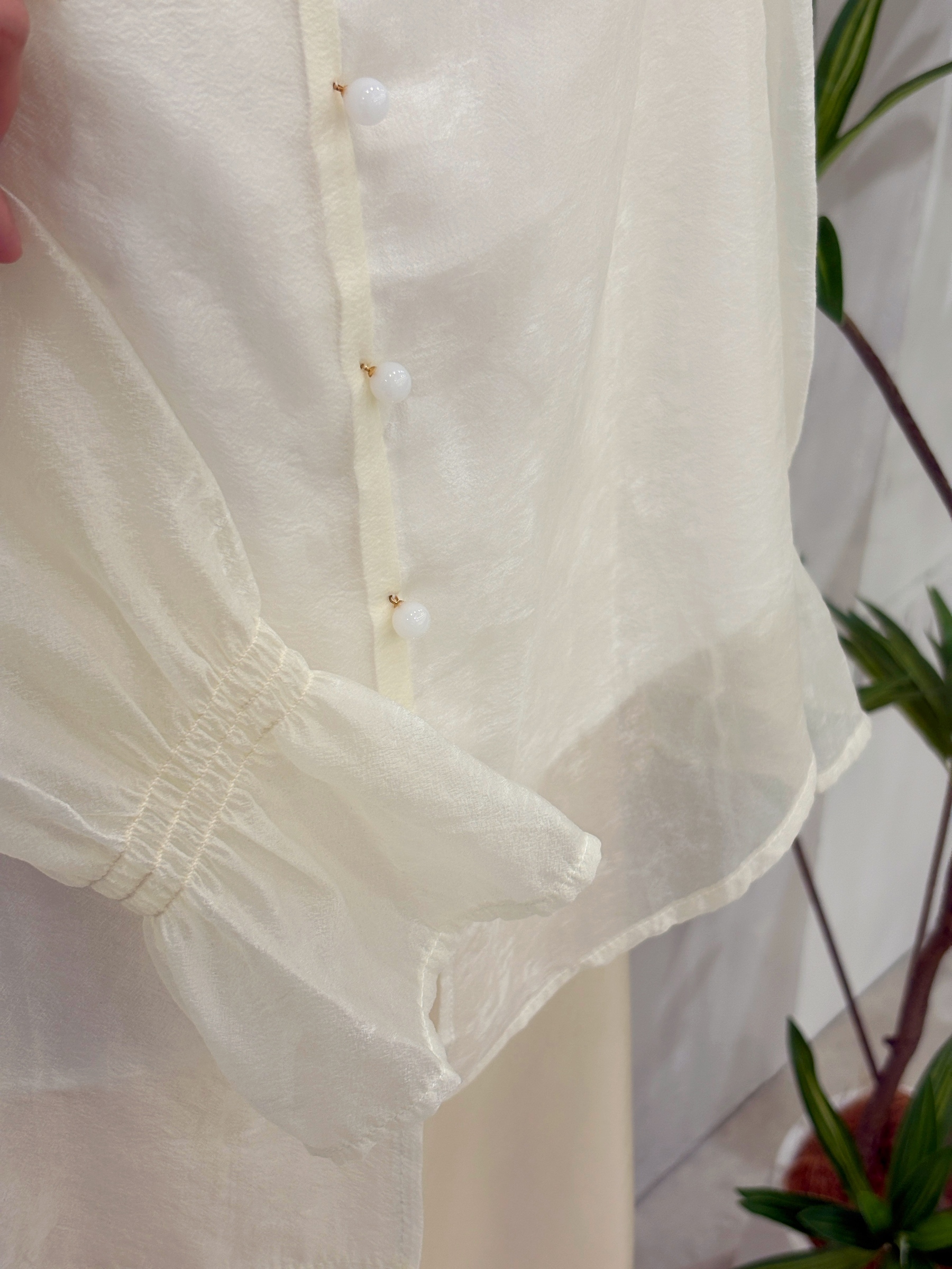 image_99D560EB-F785-459A-AF24-CED745FBE5BC_1769430926