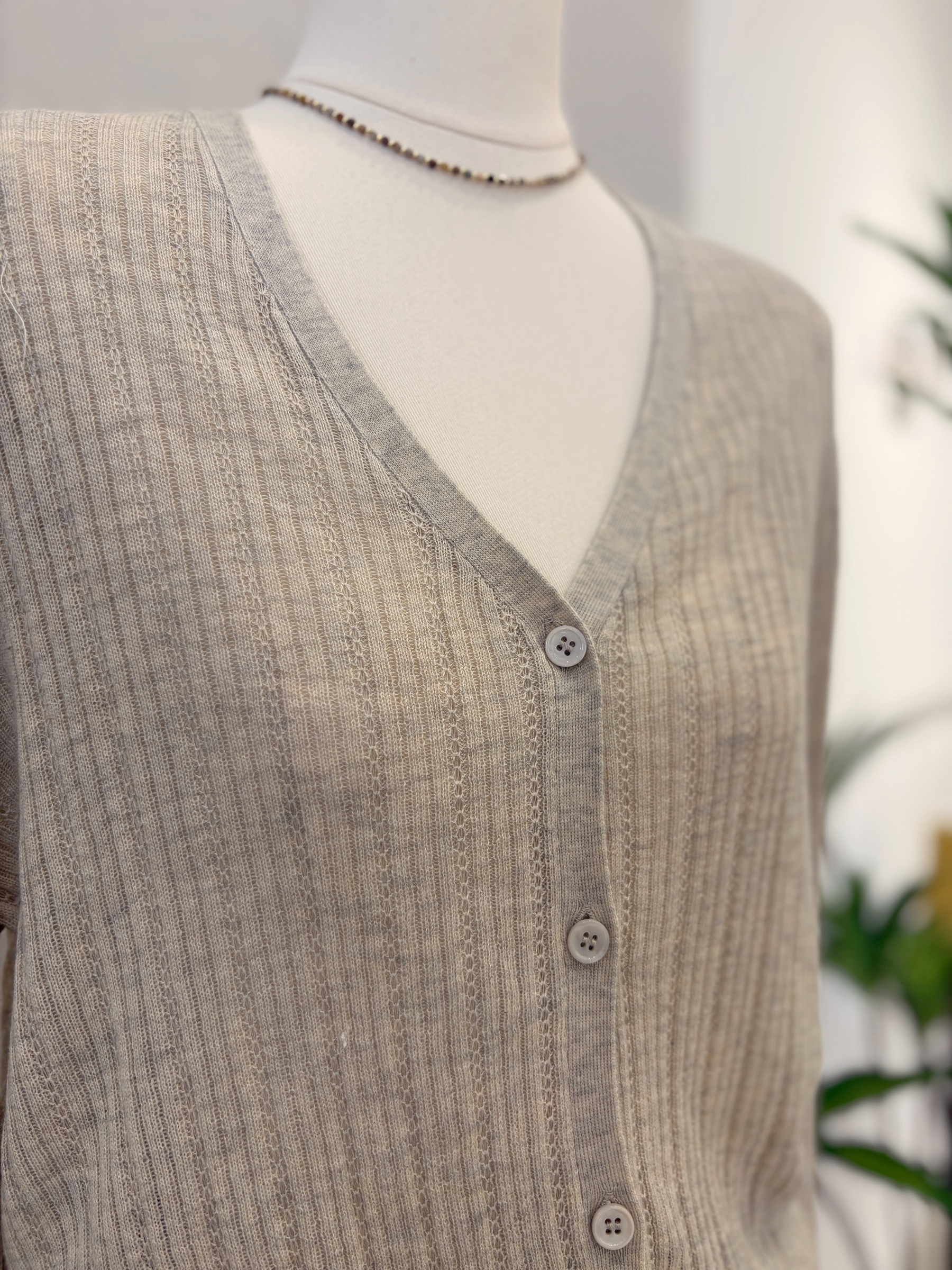 image_67AA8ADC-EF85-4C37-8E6B-76D4DDCE458A_1769686583